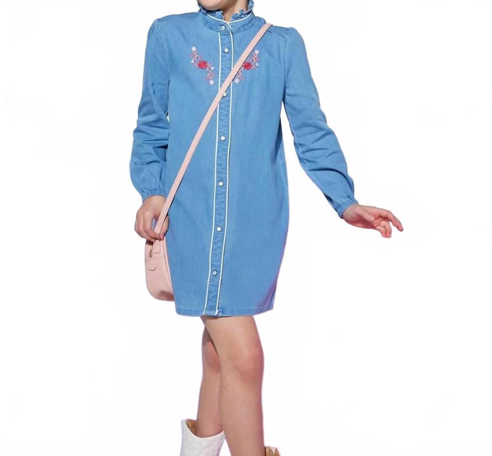 NEW BISBY jen chambray dress in blue